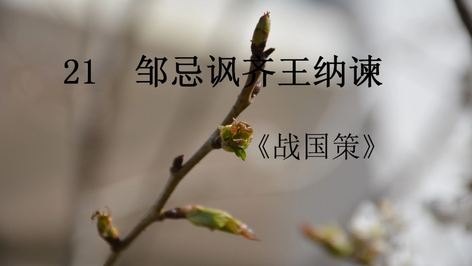 《邹忌讽齐王纳谏》第课时课件_第1页