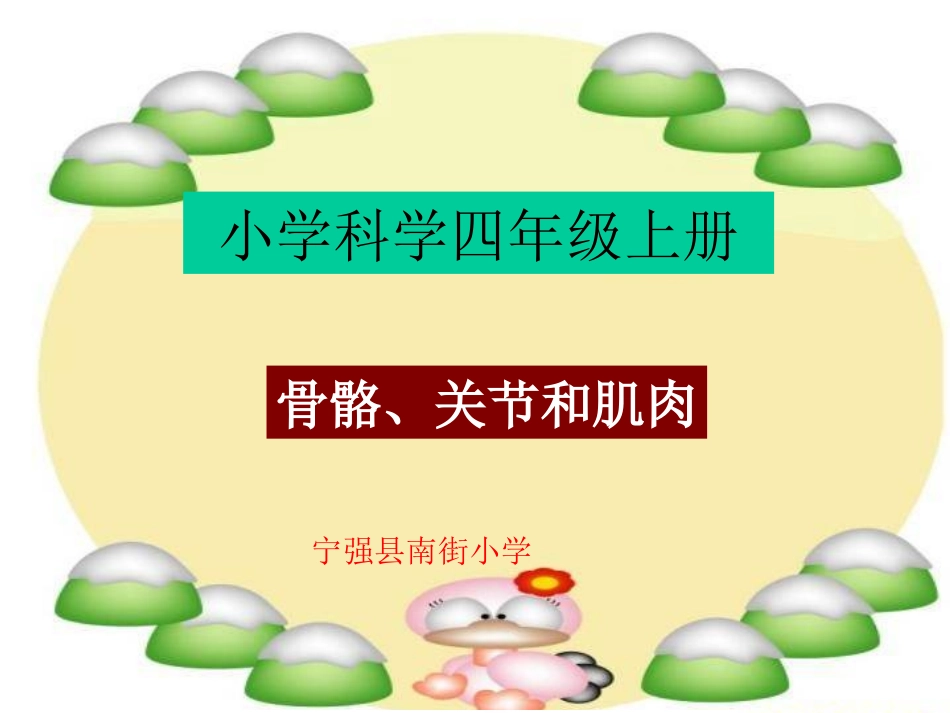 骨骼、关节和肌肉 (2)_第1页