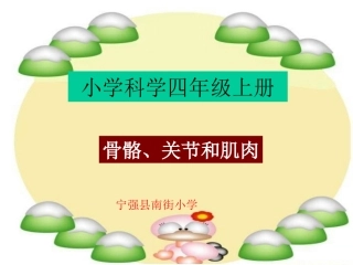 骨骼、关节和肌肉 (2)
