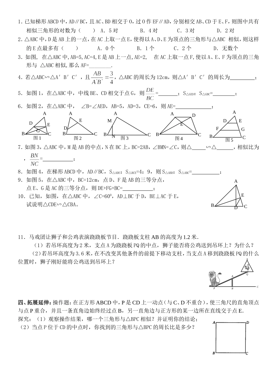 相似三角形复习讲义_第2页