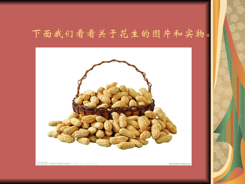 落花生李玲萍_第3页