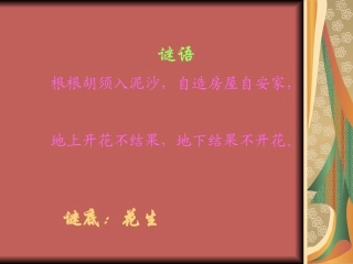 落花生李玲萍