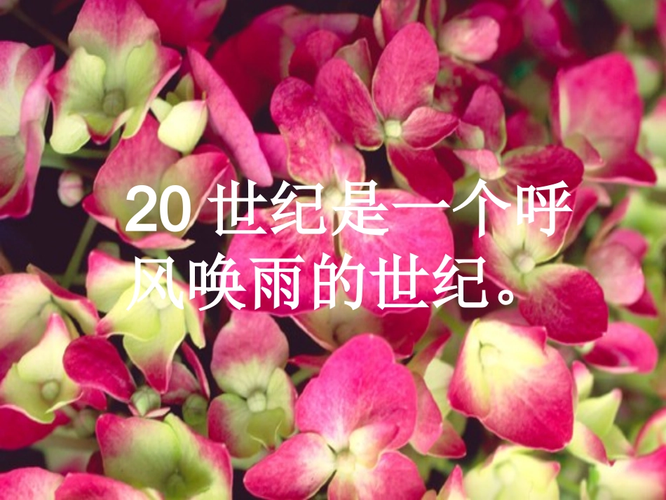 呼风唤雨的世纪课件(2)_第3页