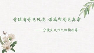 《分镜头式作文结构》教学课件