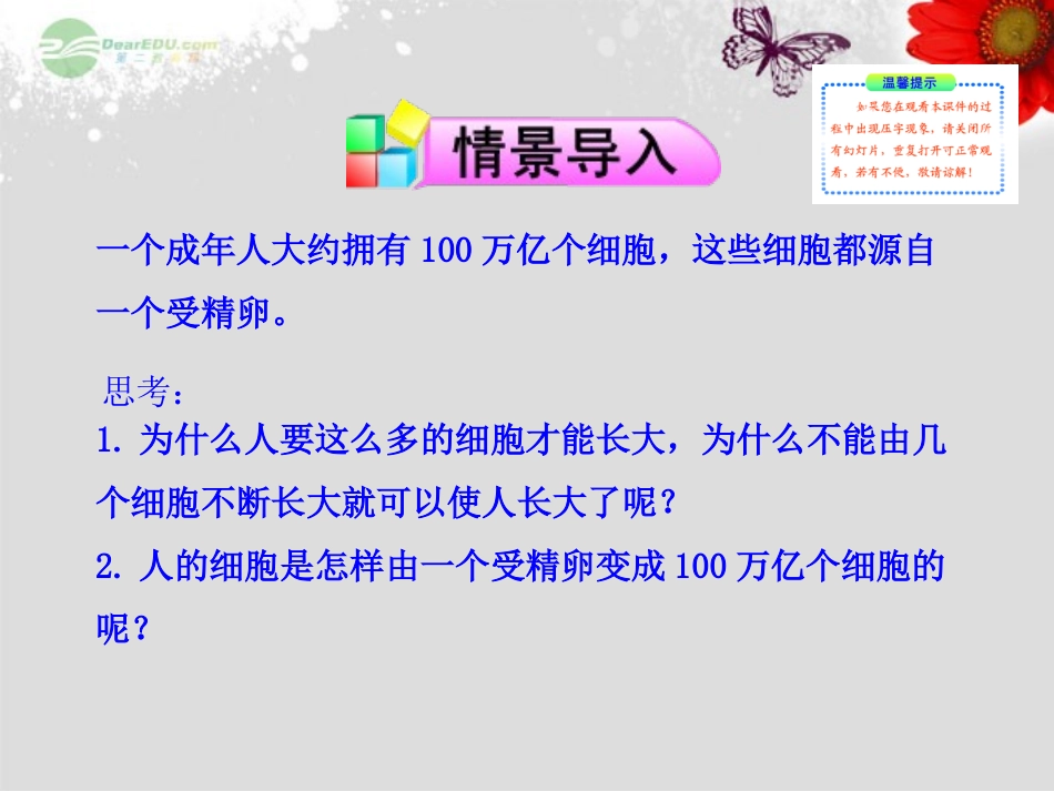 细胞分裂与分化课件_第2页