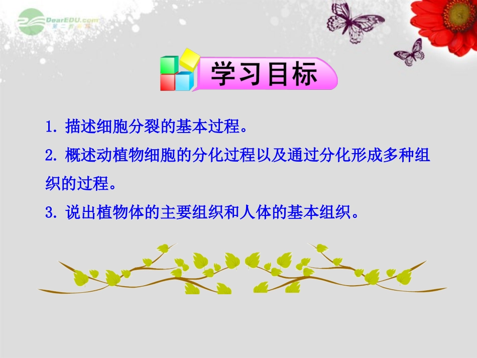 细胞分裂与分化课件_第3页