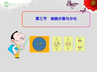 细胞分裂与分化课件