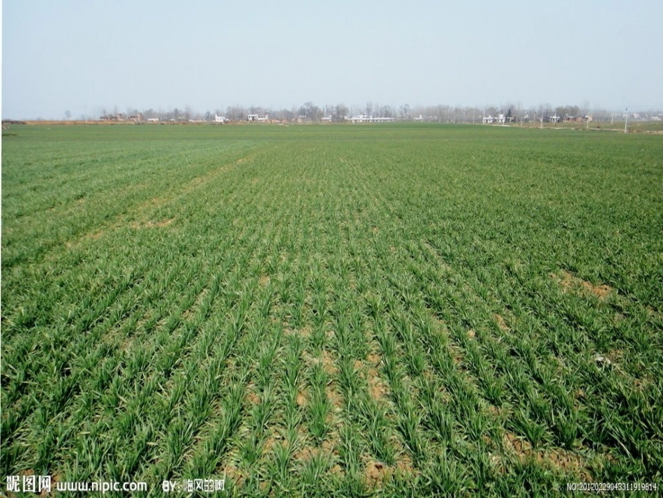 湘教版七年级地理上册第二章第三节世界的地形第一课时_第3页