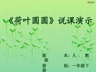 荷叶圆圆》说课