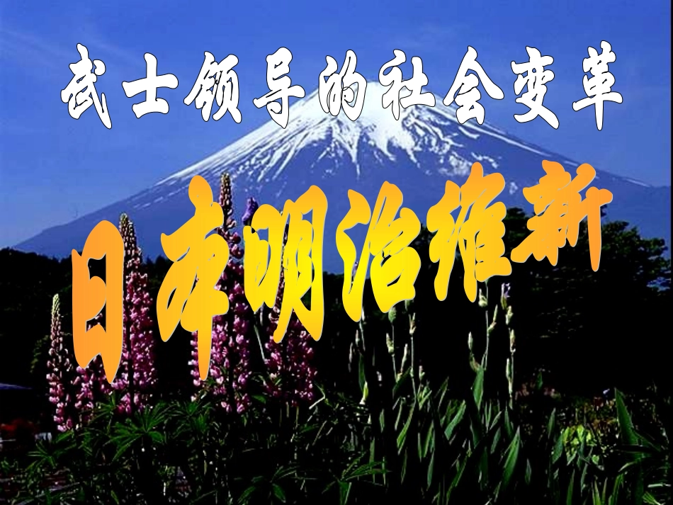 日本明治维新_第2页
