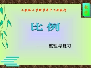 六年级比例的复习和整理(新人教课标版)