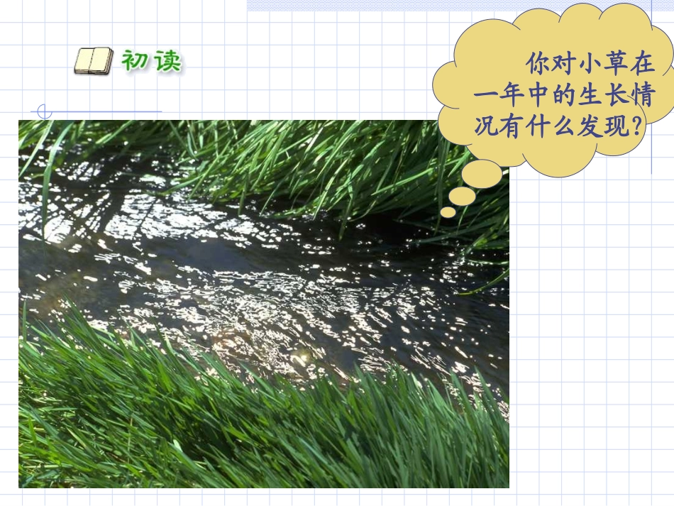 人教版二年级下册语文_2、古诗两首_第3页