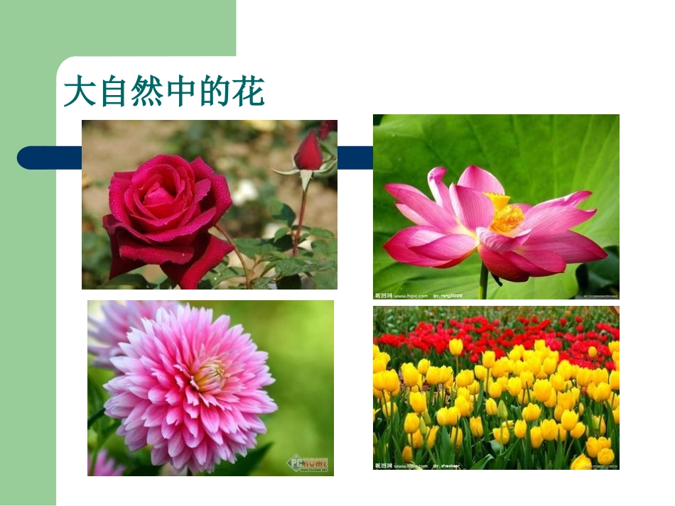 扮靓生活的花卉纹_第2页