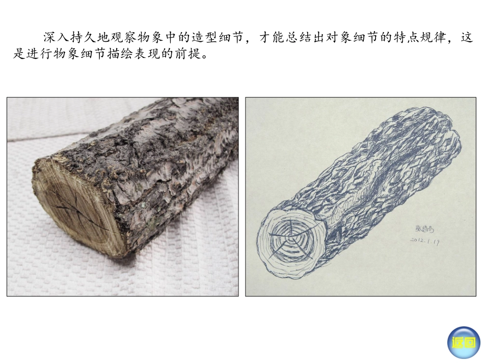 用画笔触摸细节(新版八年级)_第2页