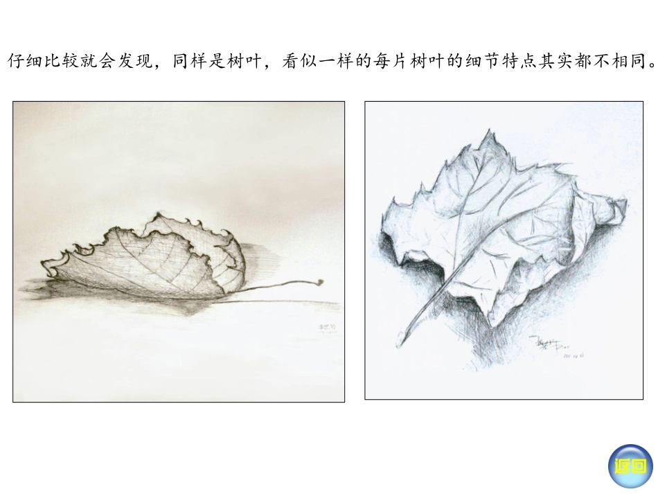 用画笔触摸细节(新版八年级)_第3页
