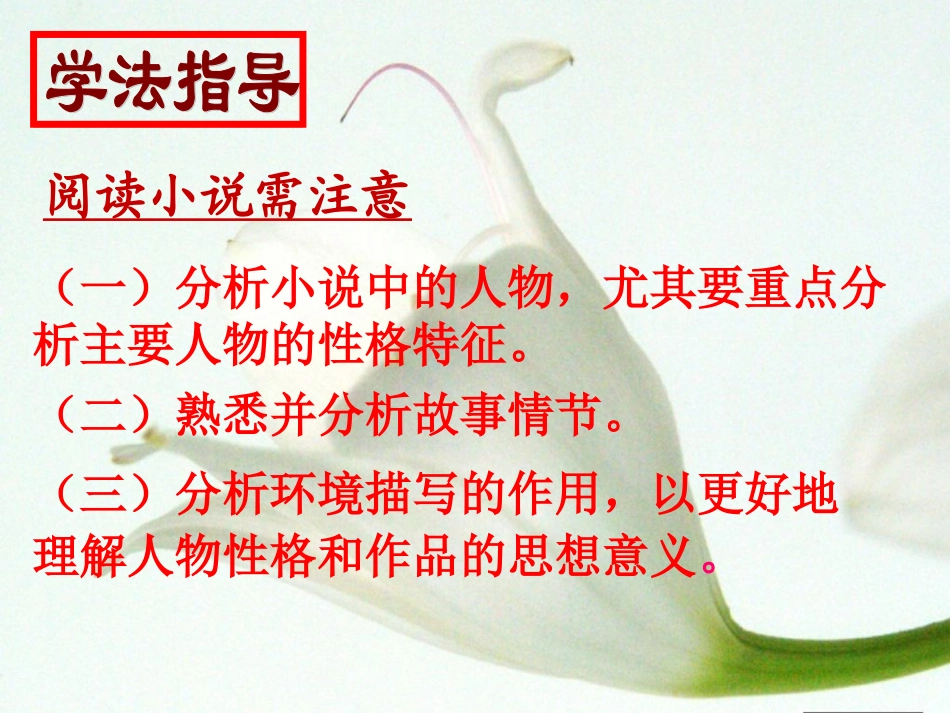 十四_小说家谈小说_第3页
