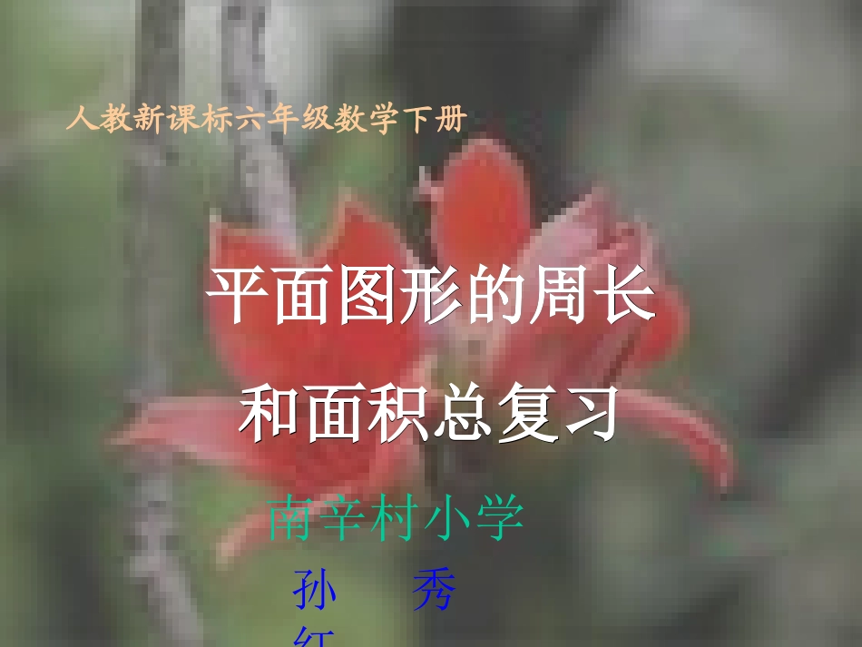 课件《平面图形的周长和面积总复习》孙秀红_第1页