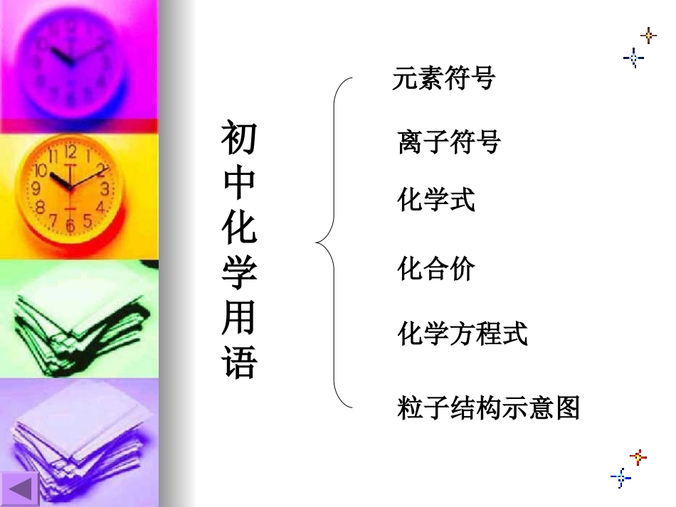 九年级化学专题复习-化学用语1_第2页