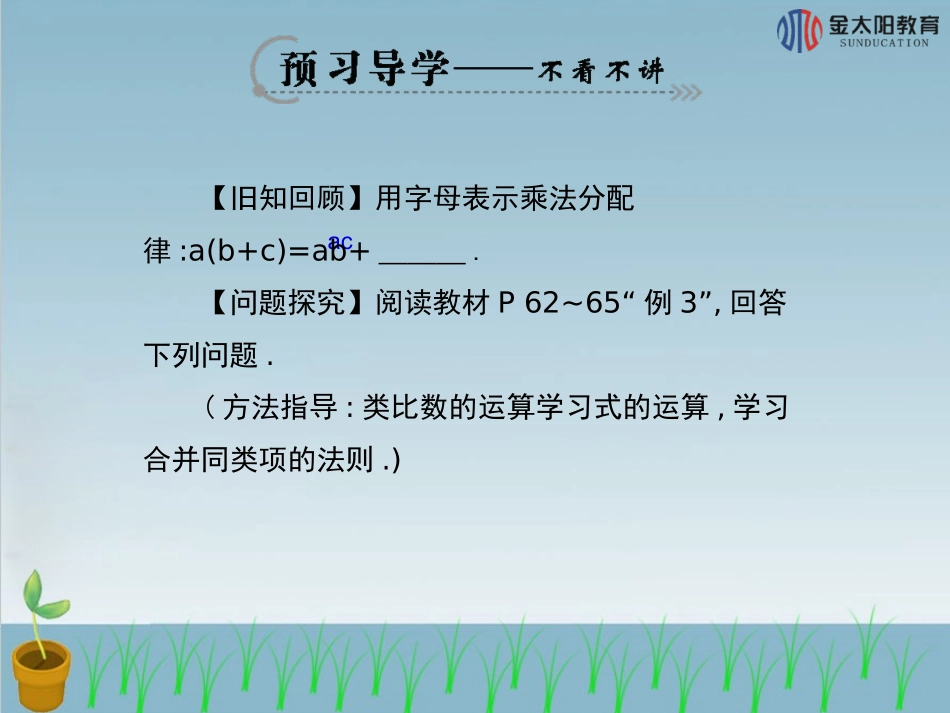《整式的加减》导学案_第3页