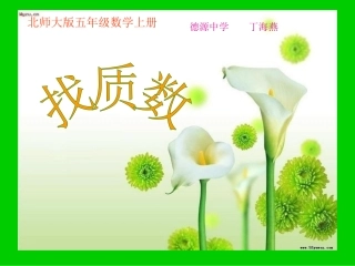 北师大版五年级数学上册《找质数》课件