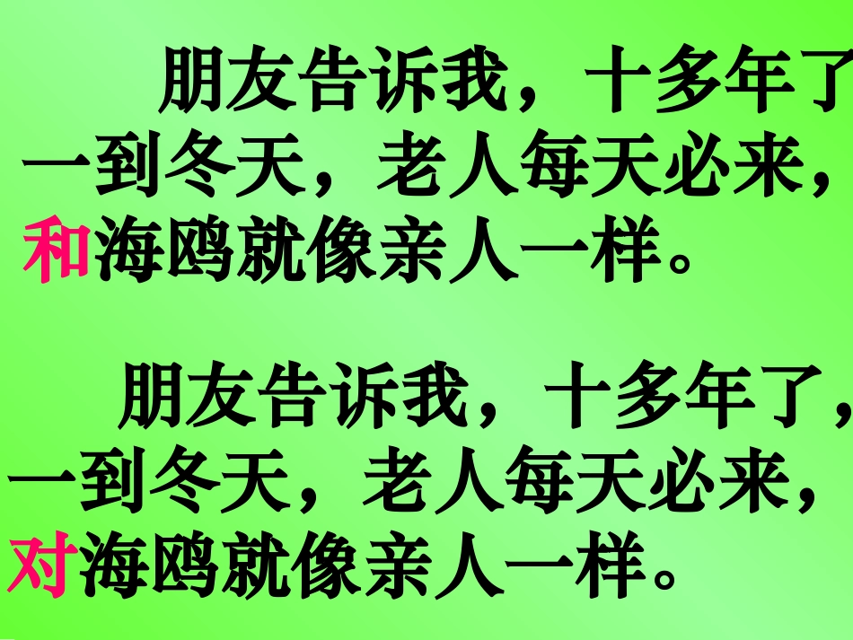 老人与海鸥 (5)_第3页