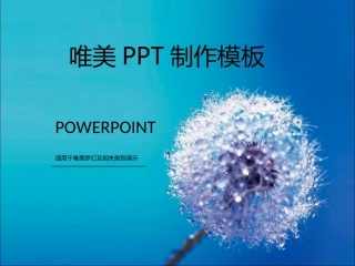 唯美PPT制作模板 (2)