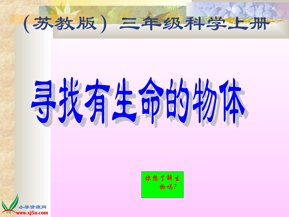 《寻找有生命的物体》PPT课件_第1页