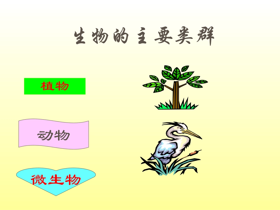 《寻找有生命的物体》PPT课件_第2页