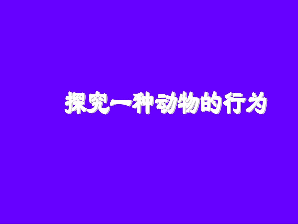 菜青虫的取食行为2_第3页
