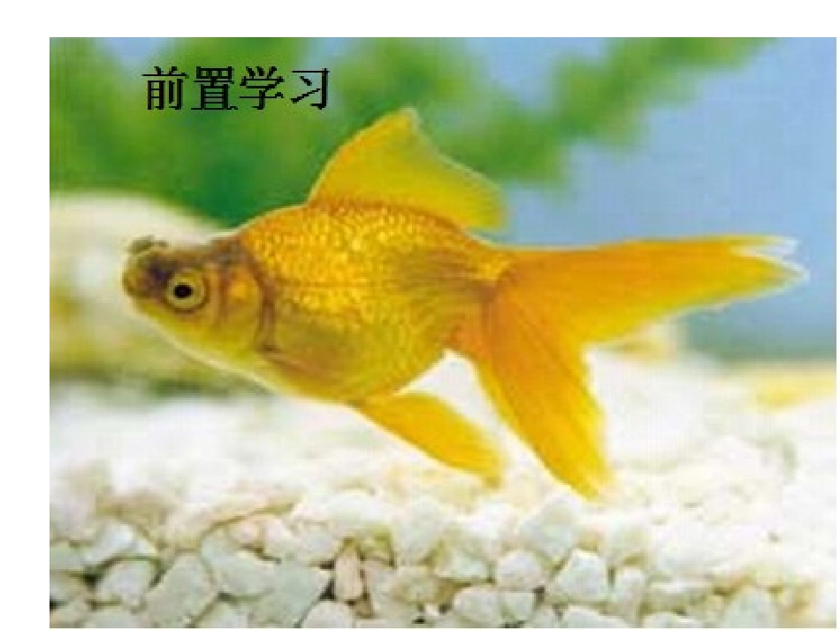 鱼游到到了纸上_第3页