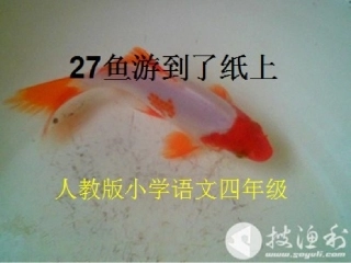 鱼游到到了纸上