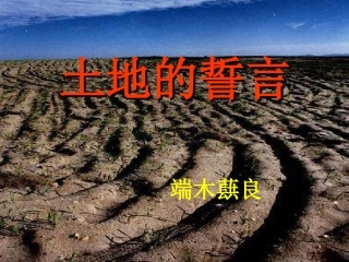 土地的誓言21上课