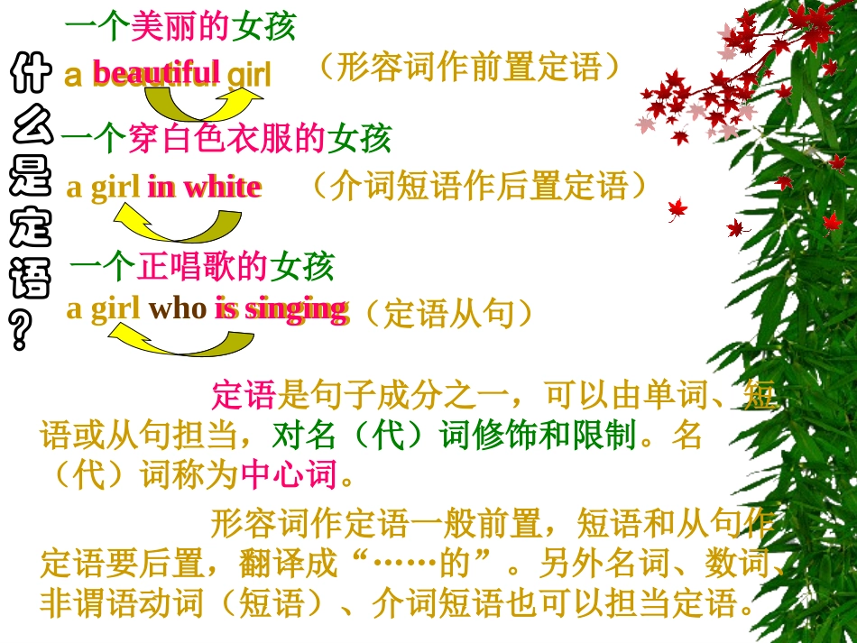 超详细初中英语语法定语从句及练习_第2页