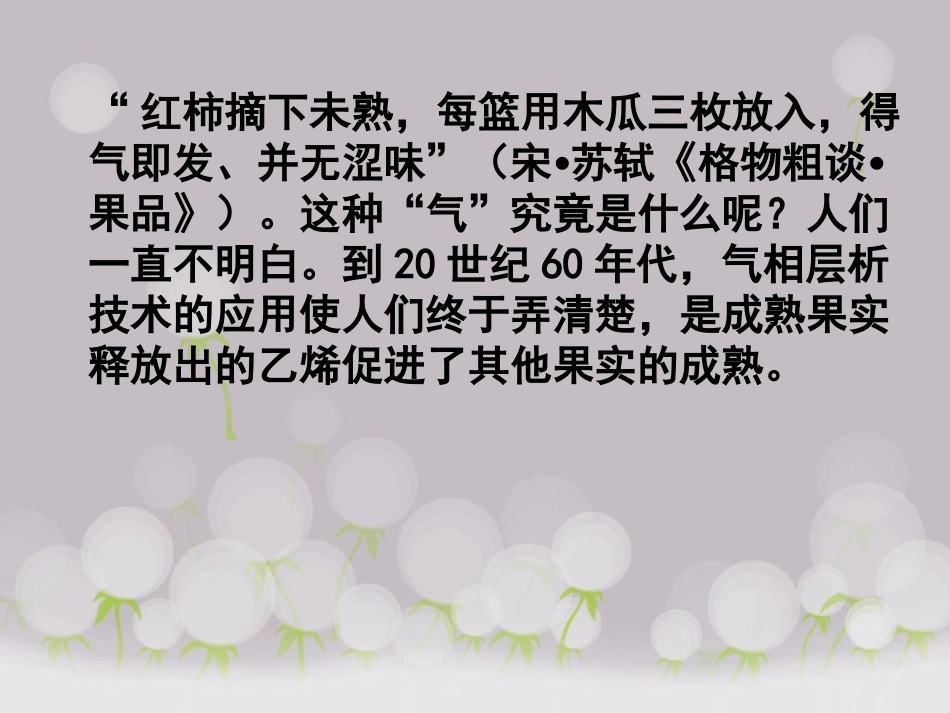 人教版必修三第3章第3节其他植物激素（共26张PPT）_第2页