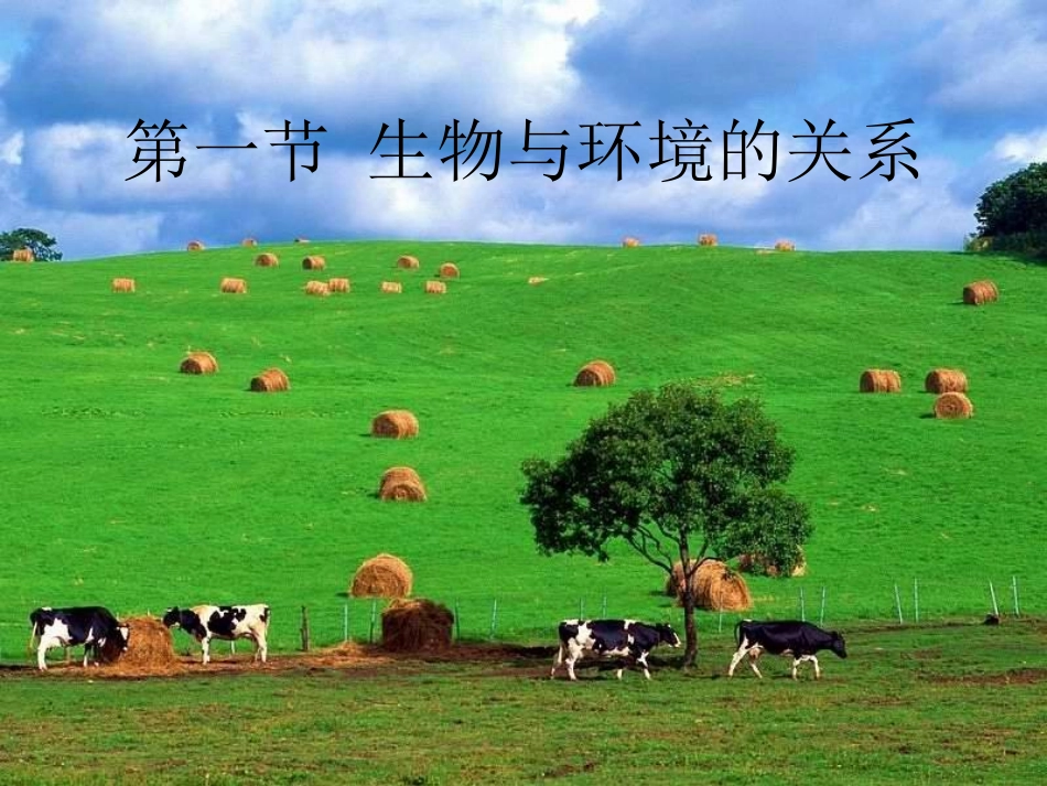 _生物与环境的关系(新课本两课时)人教版_第2页