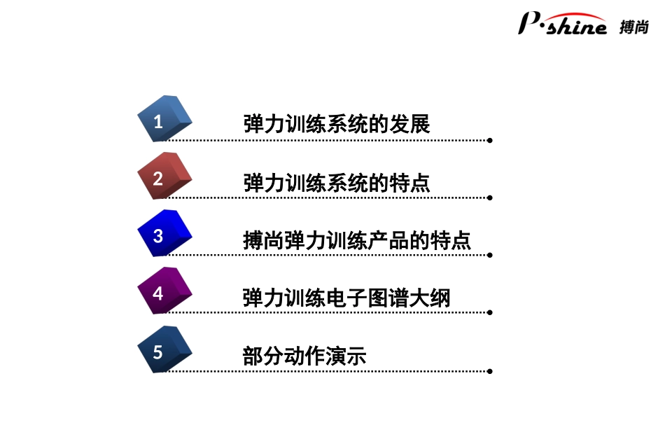 弹力训练系统介绍20100423_第2页