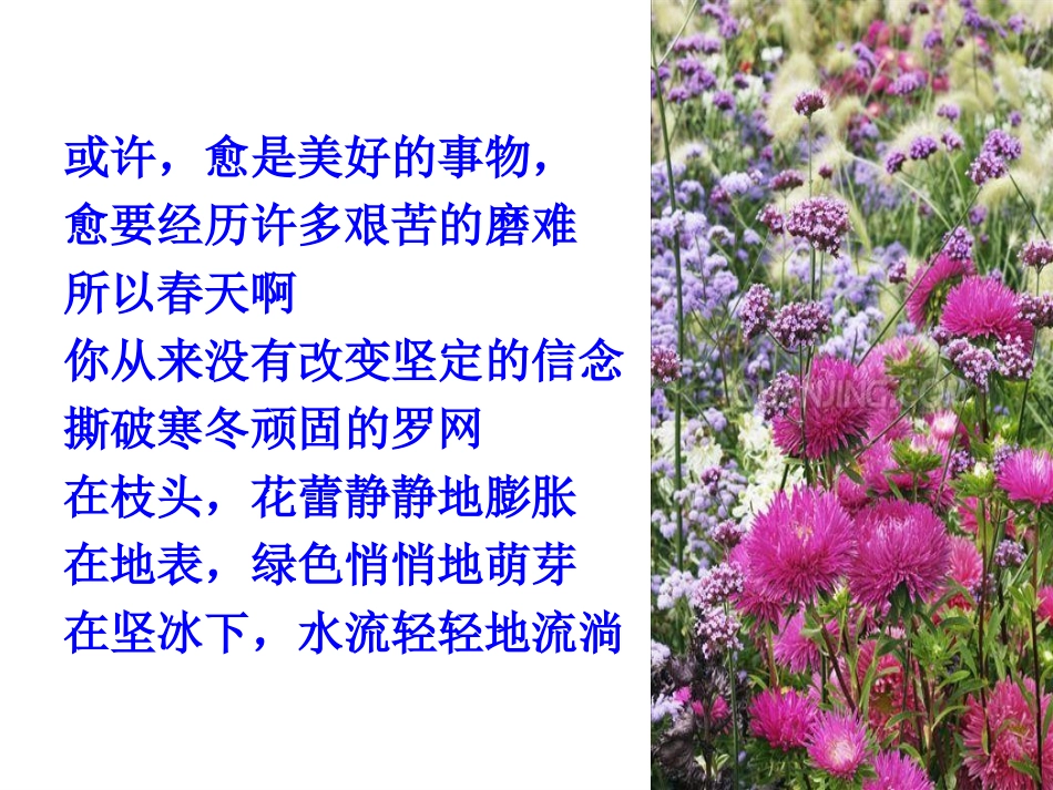 高考作文应试抢分（用）_第3页