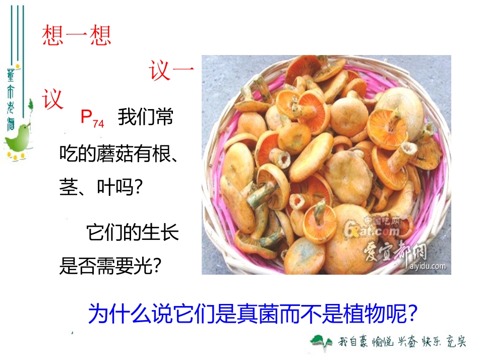 2013版八上543真菌_第1页