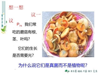 2013版八上543真菌