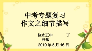 中考专题复习作文之细节描写