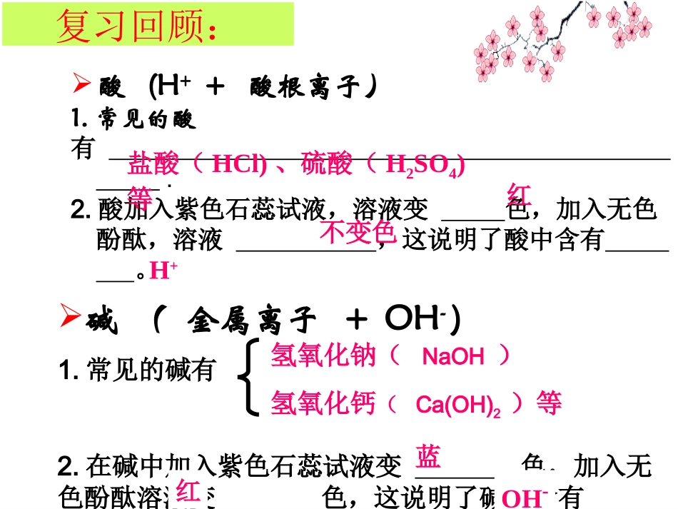 酸和碱中和反应_第2页