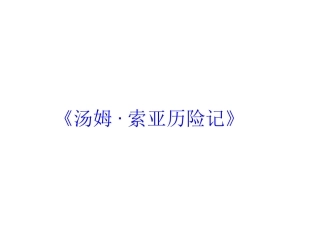 《汤姆·索亚历险记》