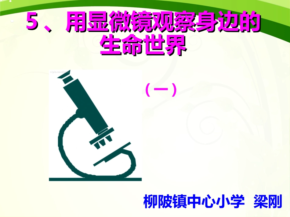 用显微镜观察身边的生命世界一_第1页