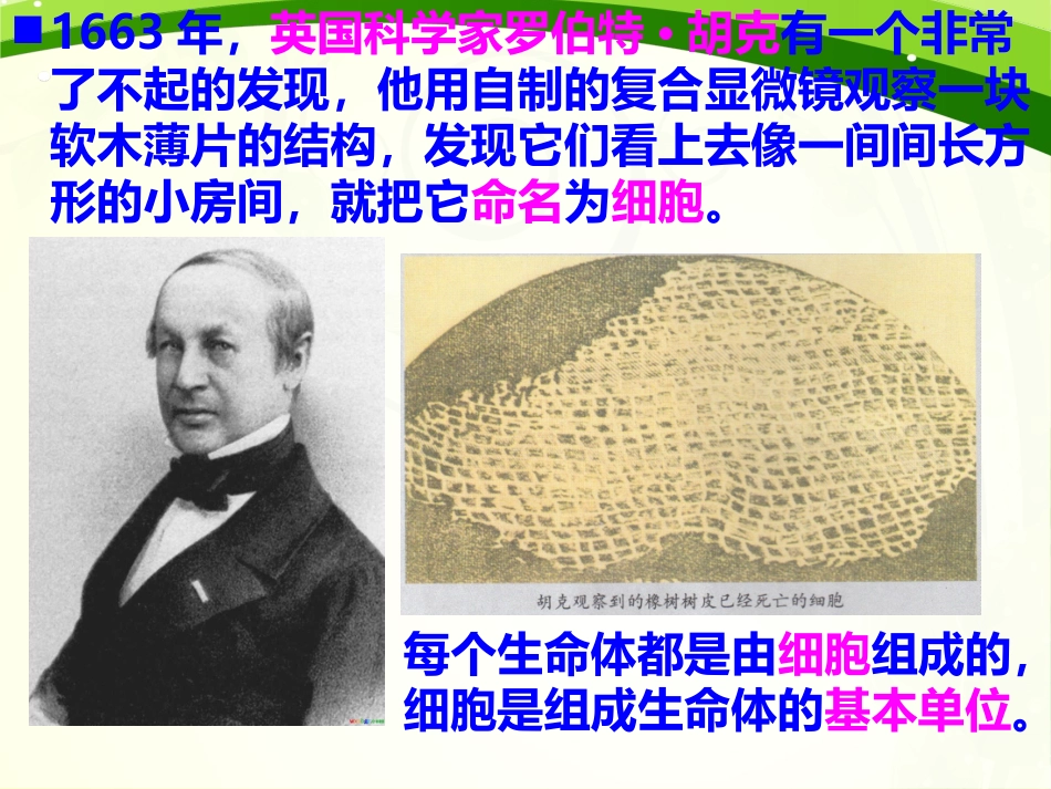 用显微镜观察身边的生命世界一_第3页