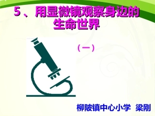 用显微镜观察身边的生命世界一