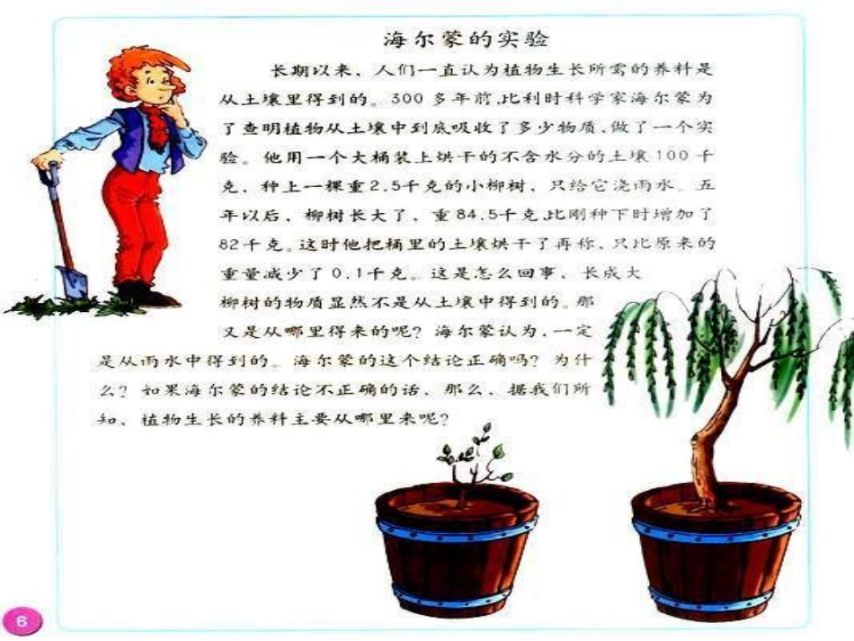 小学科学植物怎样生存_第2页