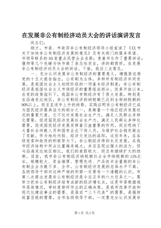 在发展非公有制经济动员大会的讲话发言演讲发言