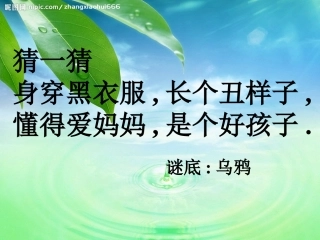乌鸦喝水第二课时