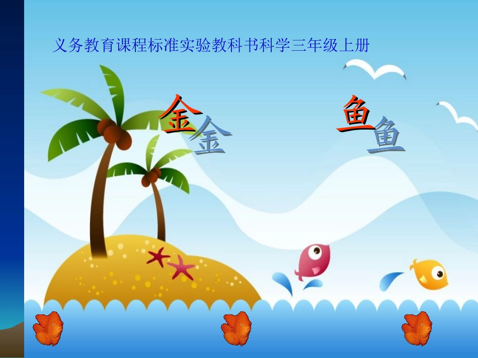 金鱼教学课件_第1页
