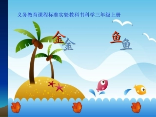 金鱼教学课件